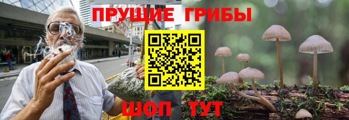 Галлюциногенные грибы Magic Shrooms  Вход с VPN  наркотики  Каменск-Шахтинский  Псилоцибиновые грибы GOLDEN TEACHER 